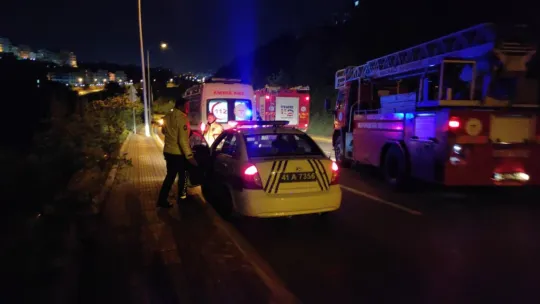 Ehliyetsiz sürücü ağaçlık alana uçtu