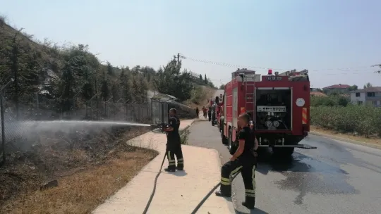 Elektrik akımına kapılan güvercin yangın çıkardı