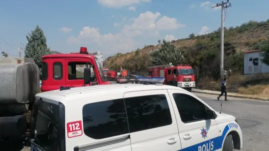 Elektrik akımına kapılan güvercin yangın çıkardı
