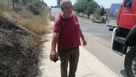 Elektrik akımına kapılan güvercin yangın çıkardı