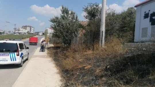 Elektrik akımına kapılan güvercin yangın çıkardı