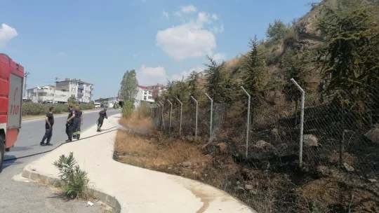 Elektrik akımına kapılan güvercin yangın çıkardı