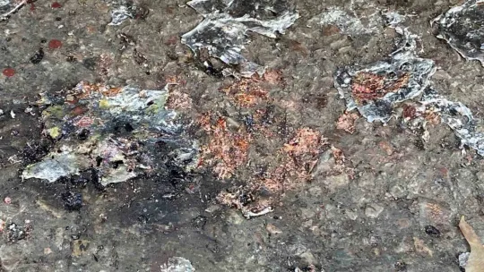 Elektrik trafosu patladı: O anlar kamerada