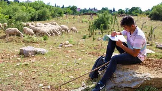 Sırtında okul çantası, önünde koyunları...