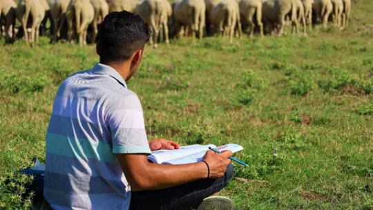 Sırtında okul çantası, önünde koyunları...