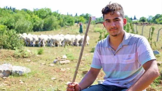 Sırtında okul çantası, önünde koyunları...
