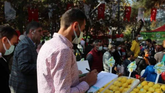 En lezzetli ayvalar bu festivalde yarıştı