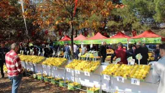 En lezzetli ayvalar bu festivalde yarıştı