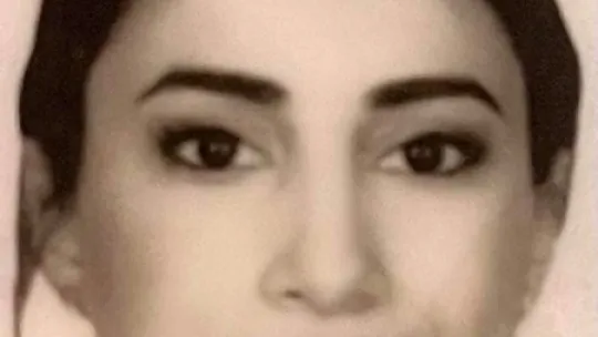 Eşini ve kayınbabasını öldürmüştü, detaylar ortaya çıktı