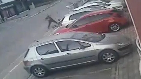 Eski eşini beyzbol sopası ile döven zanlı tutuklandı