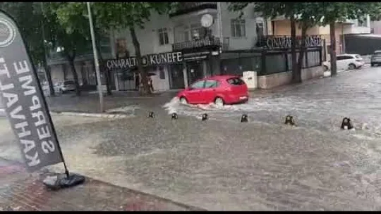 Esnafın isyanı: Hakkımı helal etmiyorum