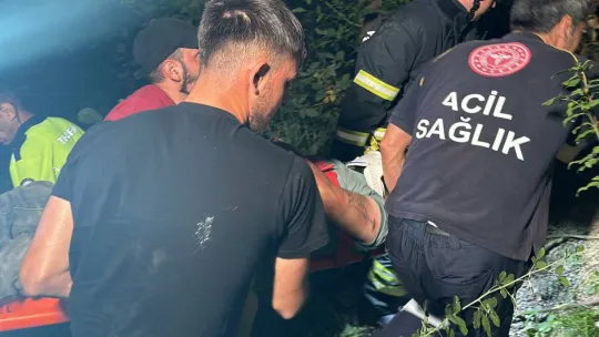Eşya yüklü kamyon dere yatağına uçtu