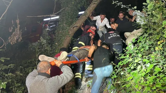 Eşya yüklü kamyon dere yatağına uçtu