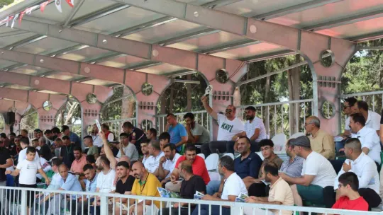 Ev fiyatına tay