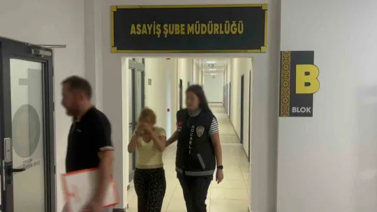 Ev soyanların sabıka kaydı şaşırttı