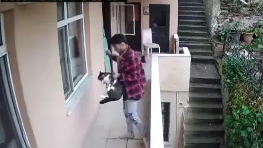 Evden kaçan kediyi böyle yumrukladı