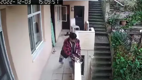 Evden kaçan kediyi böyle yumrukladı