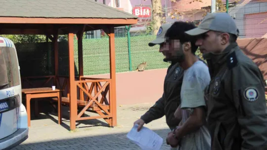 Evden kaçan kediyi böyle yumrukladı