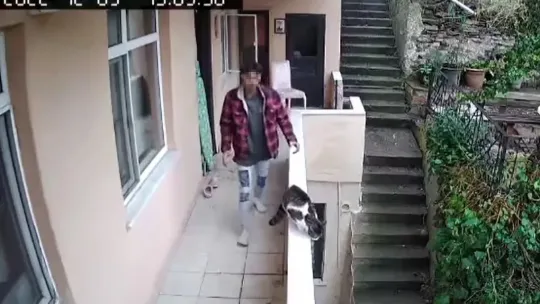 Evden kaçan kediyi böyle yumrukladı