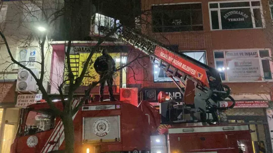 Evden kaçıp çatıda mahsur kalan kediyi itfaiye kurtardı