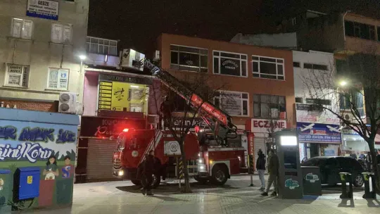 Evden kaçıp çatıda mahsur kalan kediyi itfaiye kurtardı