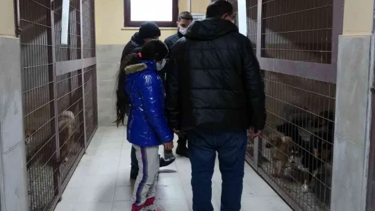 Köpekleri yangında telef olmuştu, yeni bir köpek istiyor
