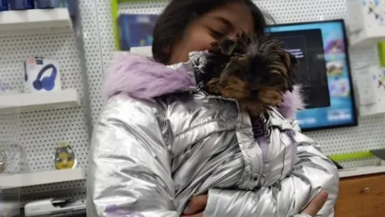 Köpekleri yangında telef olmuştu, yeni bir köpek istiyor