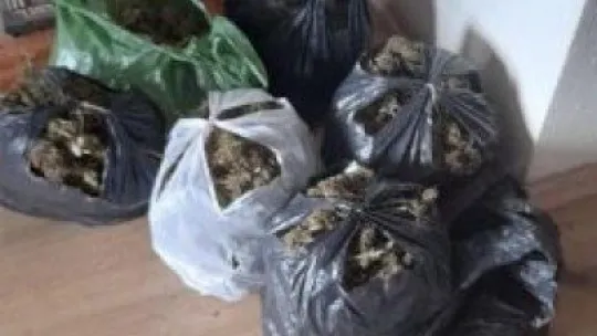 Evinde uyuşturucu ele geçirilen şüpheli tutuklandı