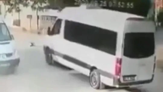 Ezdiği kedi can çekişirken bir kez daha üzerinden geçti!
