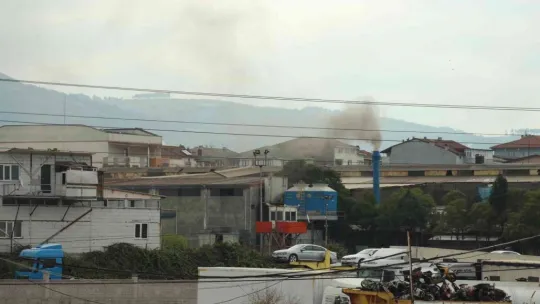 Dumanlar yükselince vatandaşlar isyan etti