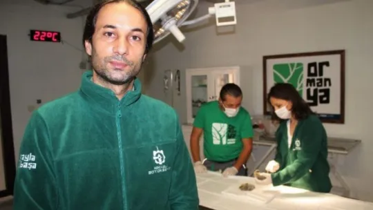 Fabrikanın bahçesinde yuvalarından düşen yavru güvercinlere anne şefkati!