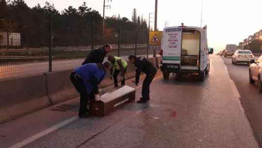 Kocaeli'de feci ölüm