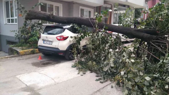 Fırtınanın devirdiği ağaç, otomobilin üzerine düştü