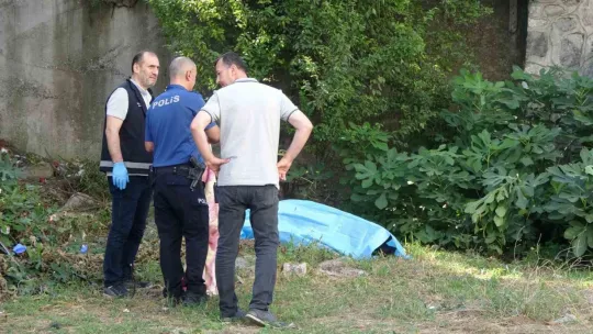 Ölü ve yaralılar vardı: Korkunç kazada detaylar ortaya çıktı