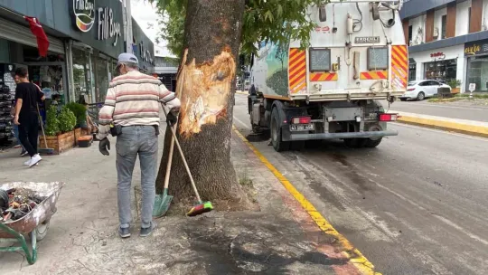 Freni boşalan kamyon dehşet saçtı