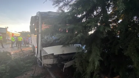Freni patlayan servis midibüsü ağaçları biçti: yaralılar var