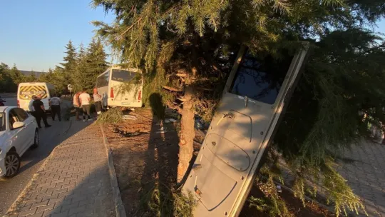 Freni patlayan servis midibüsü ağaçları biçti: yaralılar var