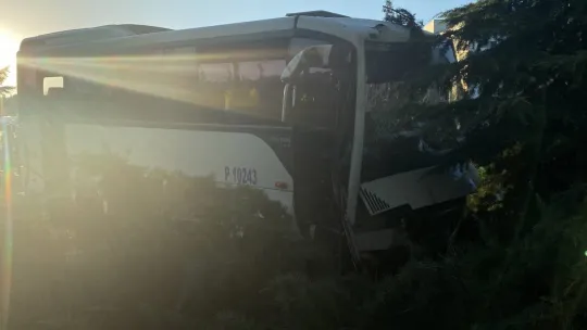 Freni patlayan servis midibüsü ağaçları biçti: yaralılar var