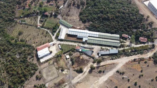 Gazeteciyi öldüresiye dövmüşlerdi, tanıkların ifadesi ortaya çıktı