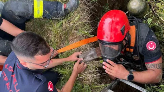 Gebe inek definecilerin kazdığı kuyuya düştü: Kurtarmak saatler sürdü