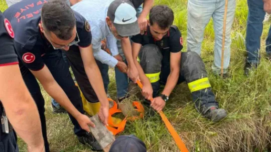 Gebe inek definecilerin kazdığı kuyuya düştü: Kurtarmak saatler sürdü