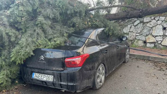 Gebze'de fırtınada iki otomobilin üzerine ağaç devrildi