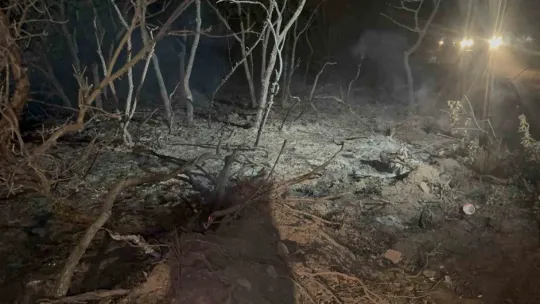 Gebze'de gece yarısı orman yangını: 7 dönüm alan kül oldu
