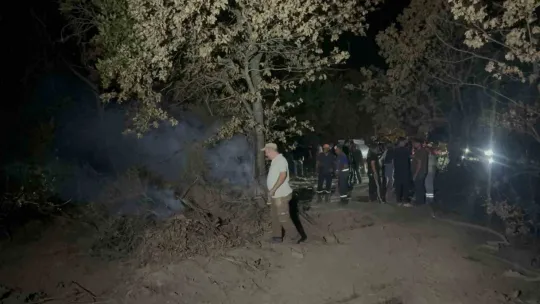 Gebze'de gece yarısı orman yangını: 7 dönüm alan kül oldu