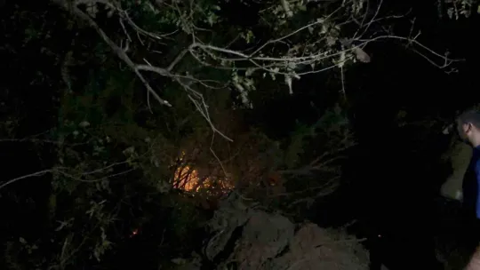 Gebze'de gece yarısı orman yangını: 7 dönüm alan kül oldu