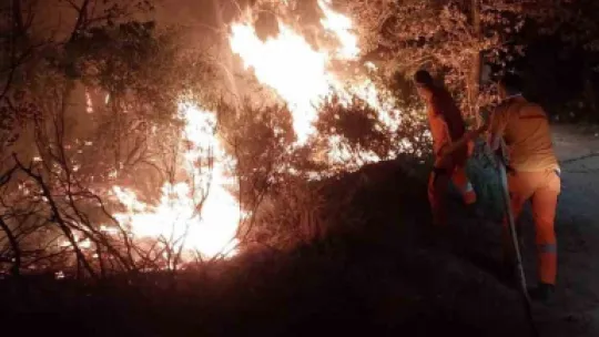 Gebze'de gece yarısı orman yangını: 7 dönüm alan kül oldu