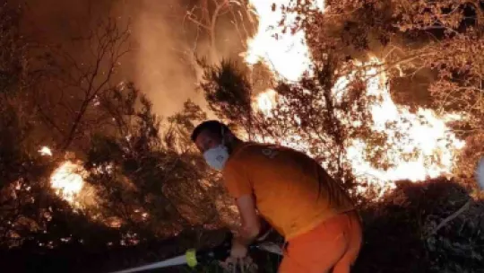 Gebze'de gece yarısı orman yangını: 7 dönüm alan kül oldu
