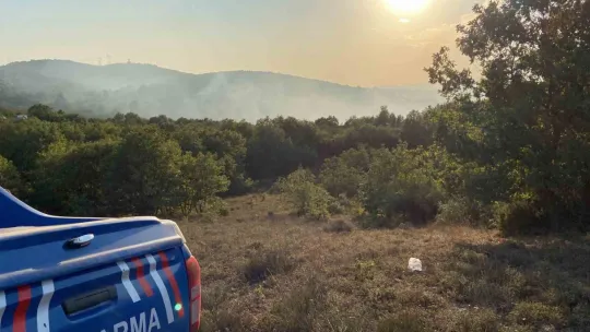 Gebze'de ormanlık alanda yangın çıktı