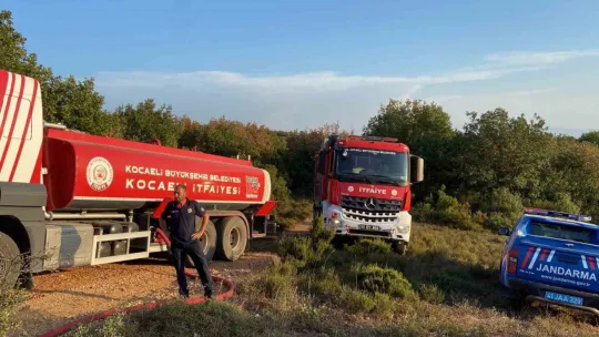 Gebze'de ormanlık alanda yangın çıktı