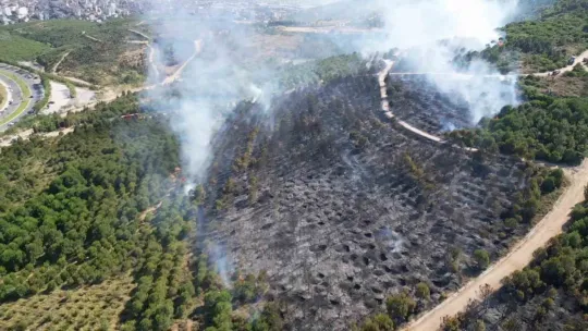 Gebze'deki orman yangını kontrol altına alındı